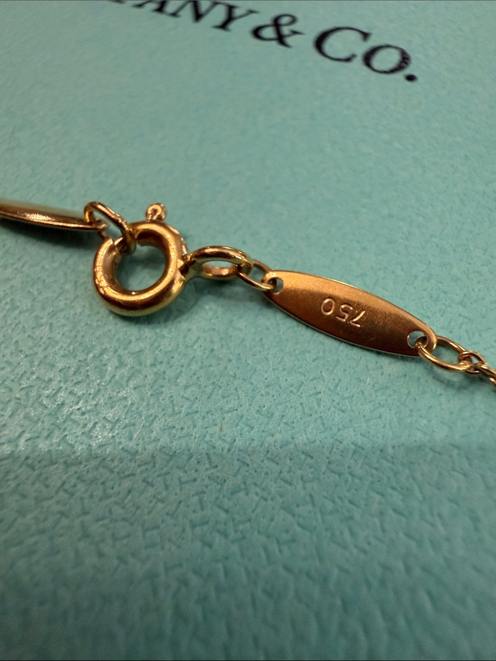 Elsa Peretti®
Diamonds by the Yard® Single Diamond Pendant - Picture 4 of 12